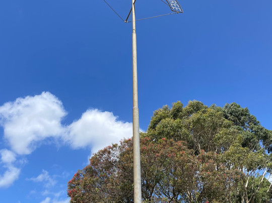 Site Of The World's Tallest Tree-Thorpdale必去景点