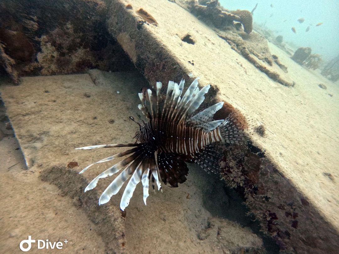 Barbado Scuba-Saint Lucy Parish必去景点