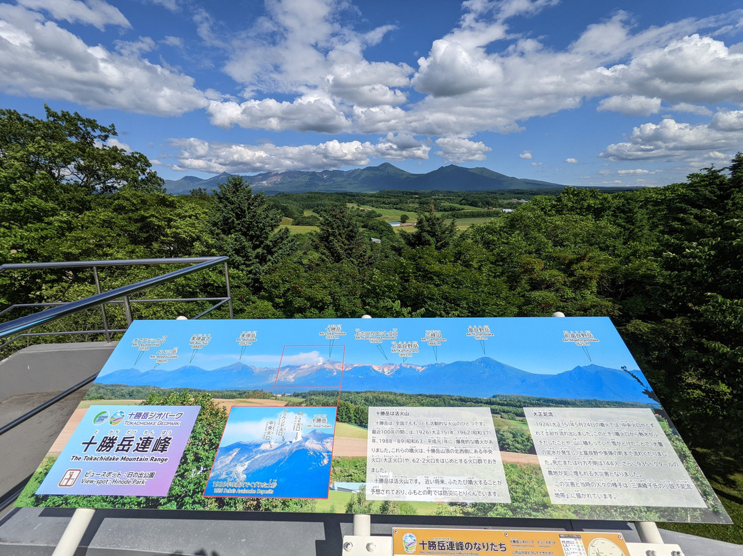 Hinode Lavender Garden-上富良野町必去景点