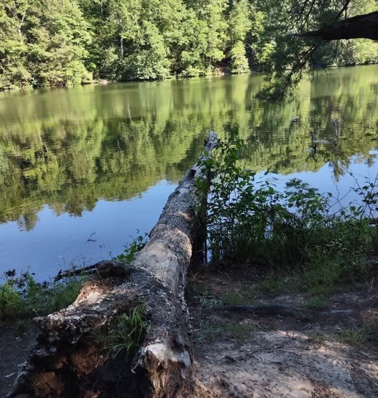 Little Beaver State Park-Beaver必去景点