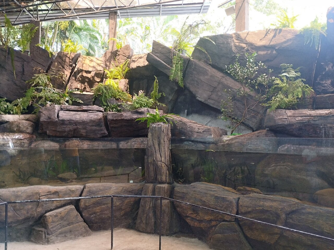 Water World Lanka景点图片
