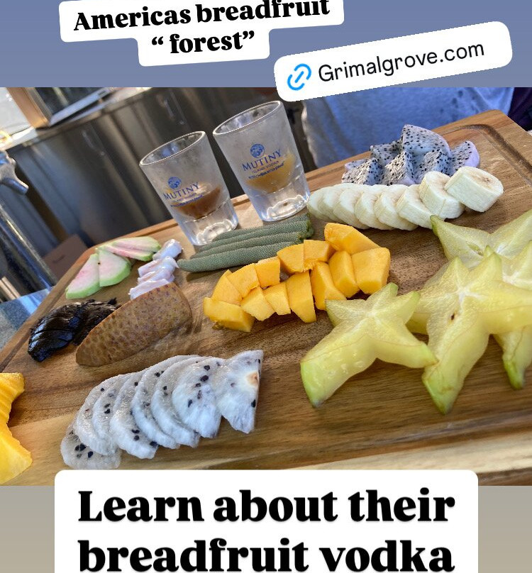 Grimal Grove-Big Pine Key必去景点