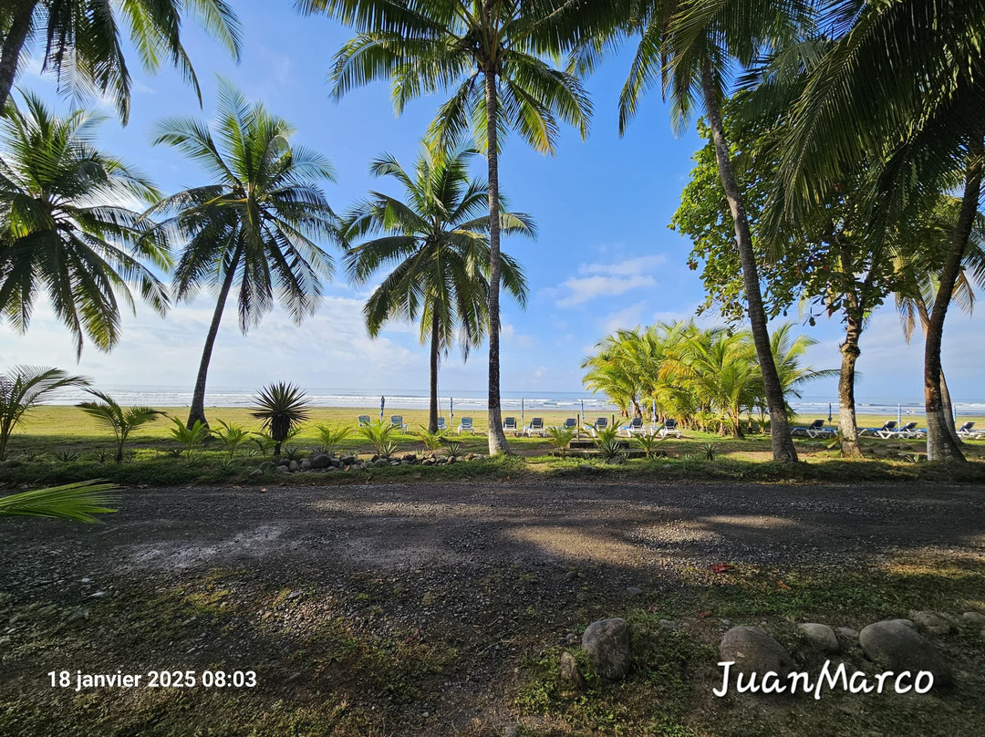 Playa Bejuco景点图片