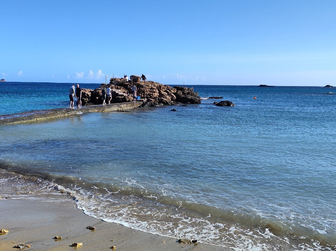 Playa de Es Figueral景点图片