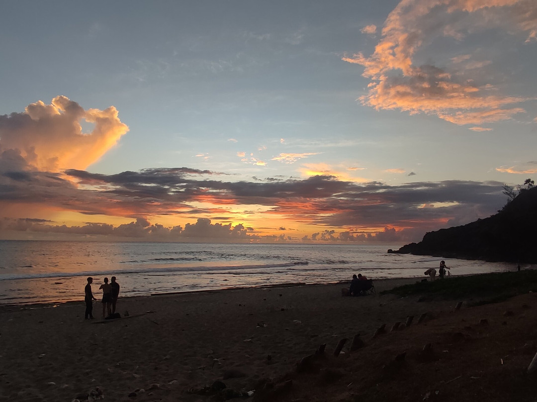 Plage de Grande Anse景点图片