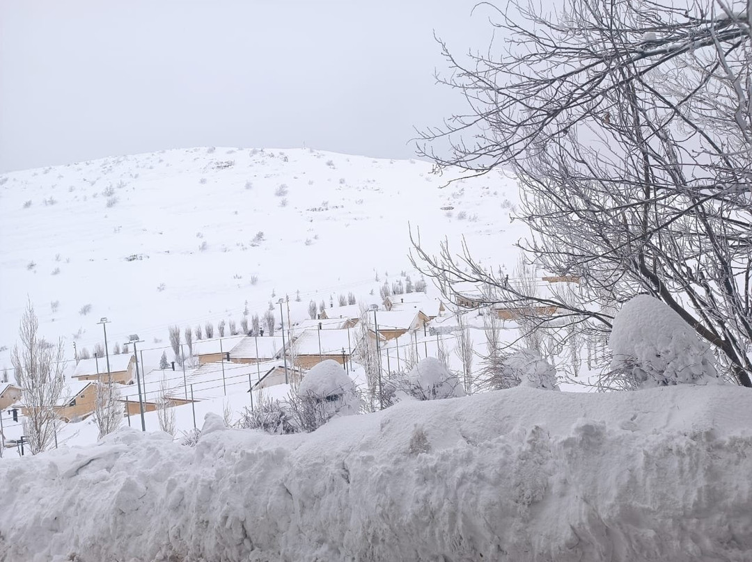 Terrebrune Hotel主图