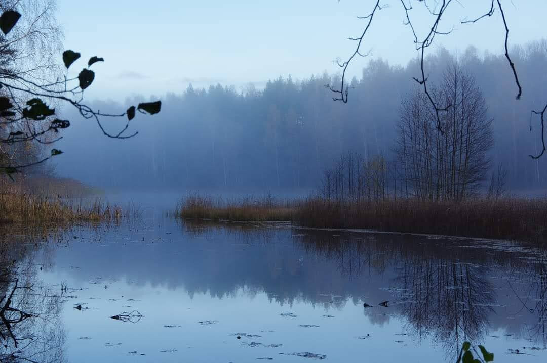 Karmdammen Runt