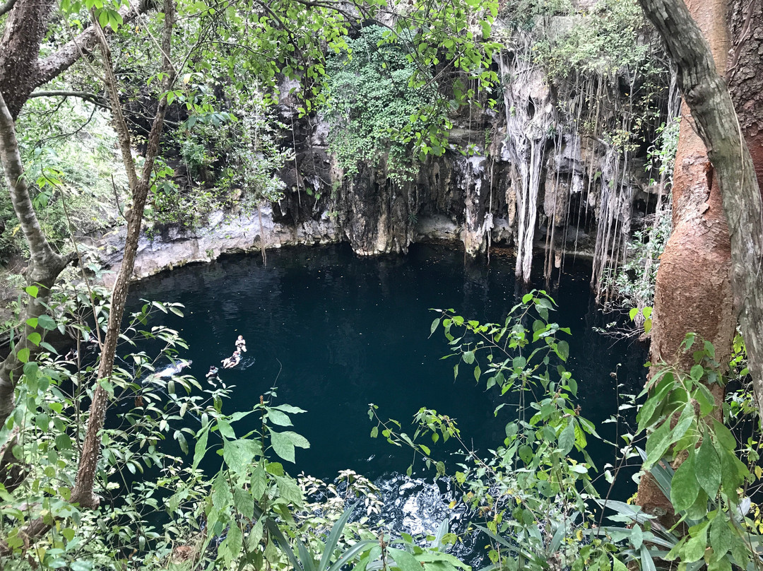 Cenote Yokdzonot-Yokdzonot必去景点