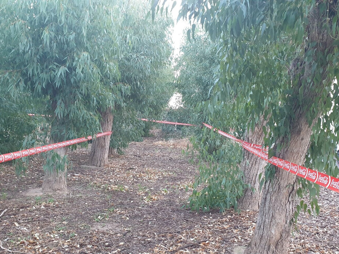 Cross Dos Bosco Salesianos El Campello-El Campello必去景点