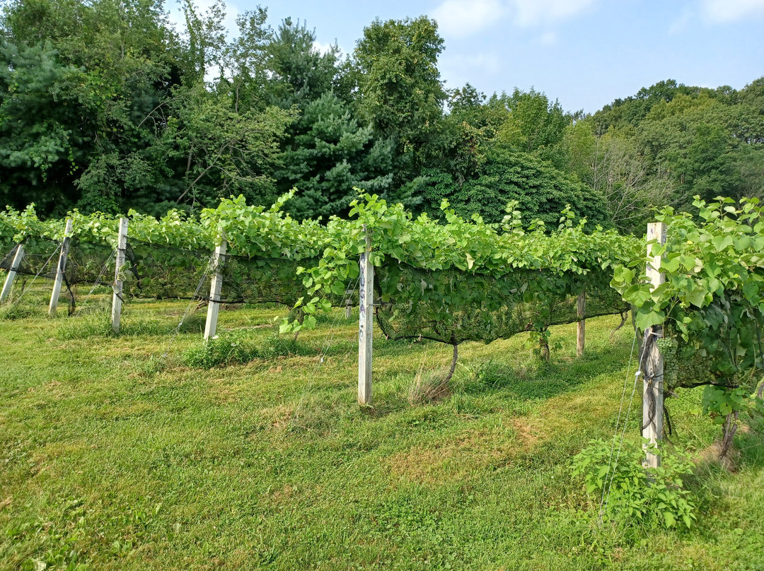 Taylor Brooke Winery-Woodstock必去景点
