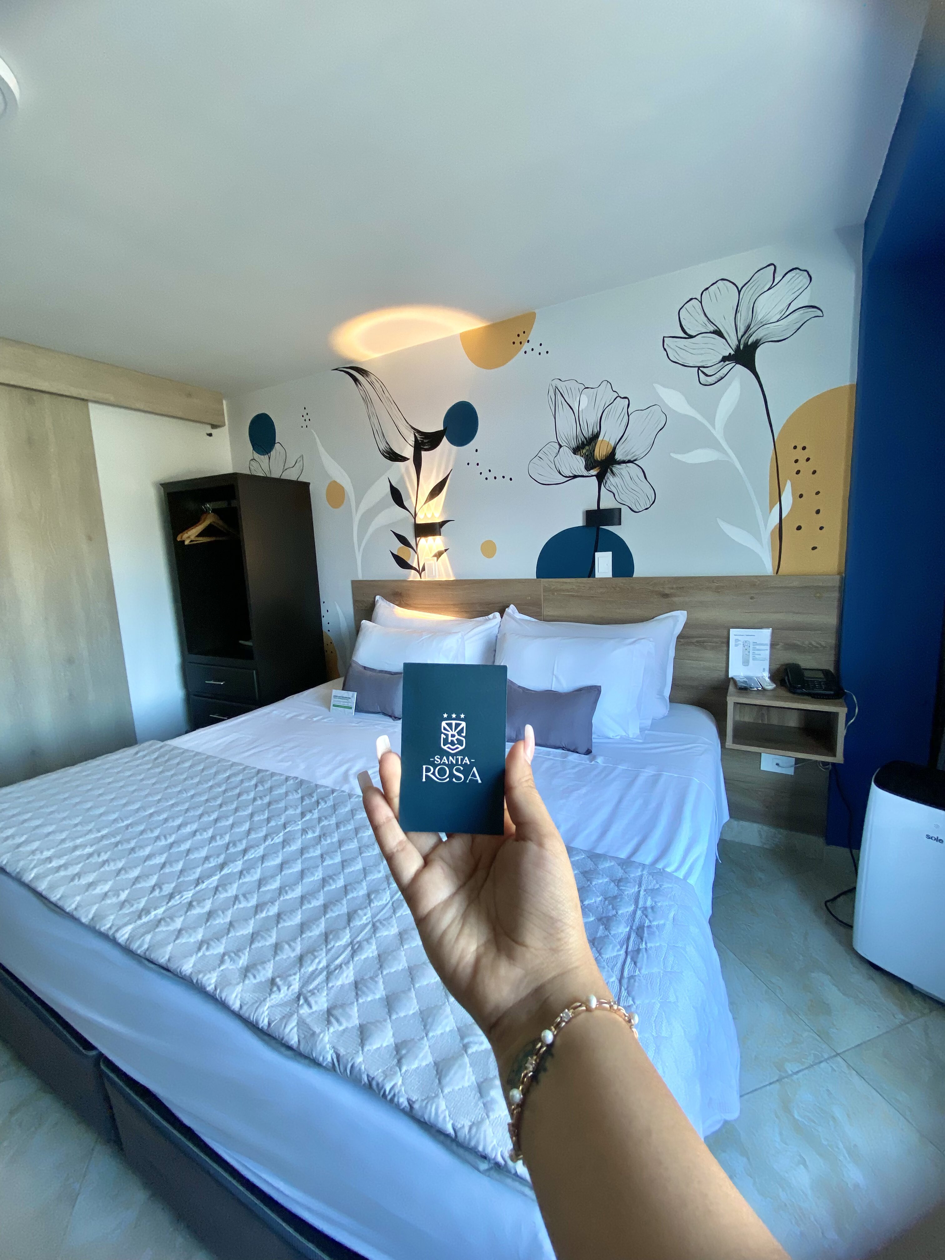 Hotel Santa Rosa-客卧
