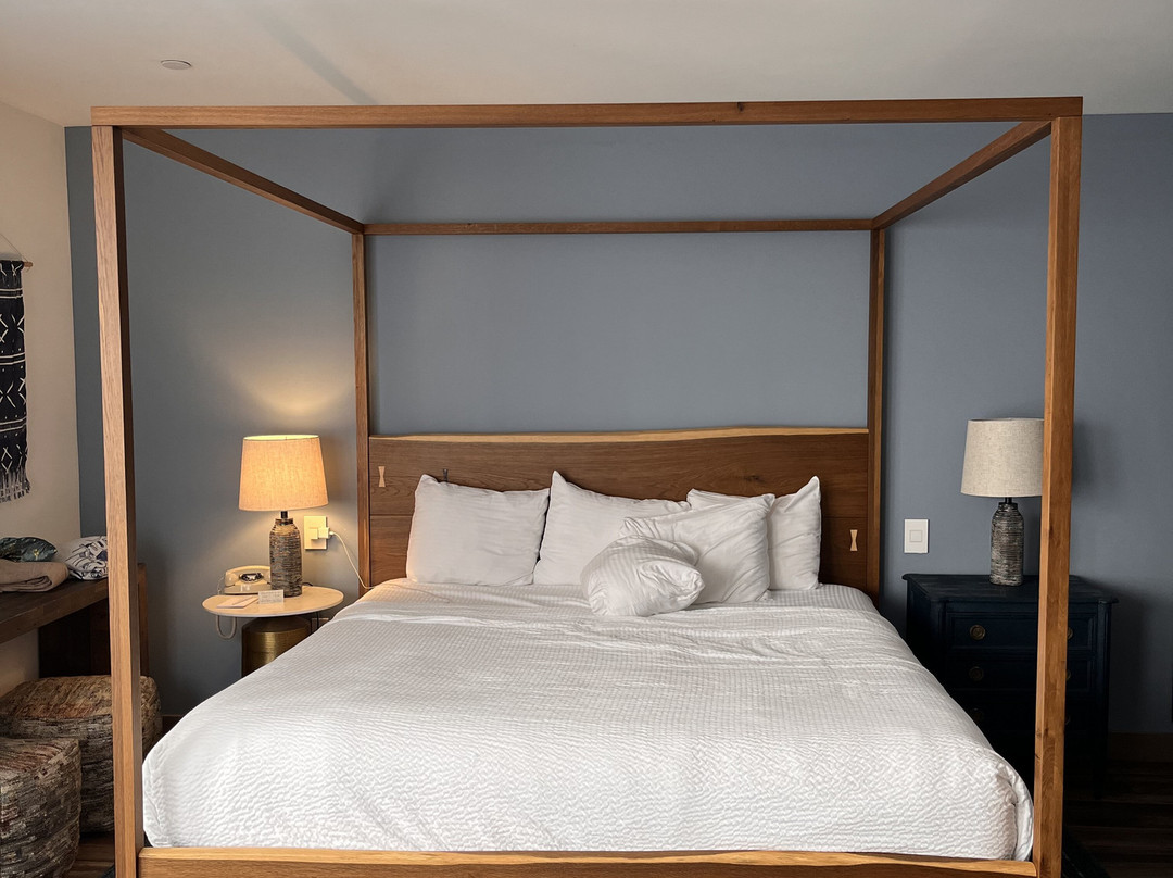 Cardiff By The Sea Lodge主图