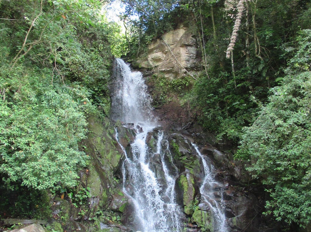 Cascada San Ramon景点图片
