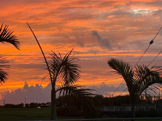 Coin de Mire Attitude