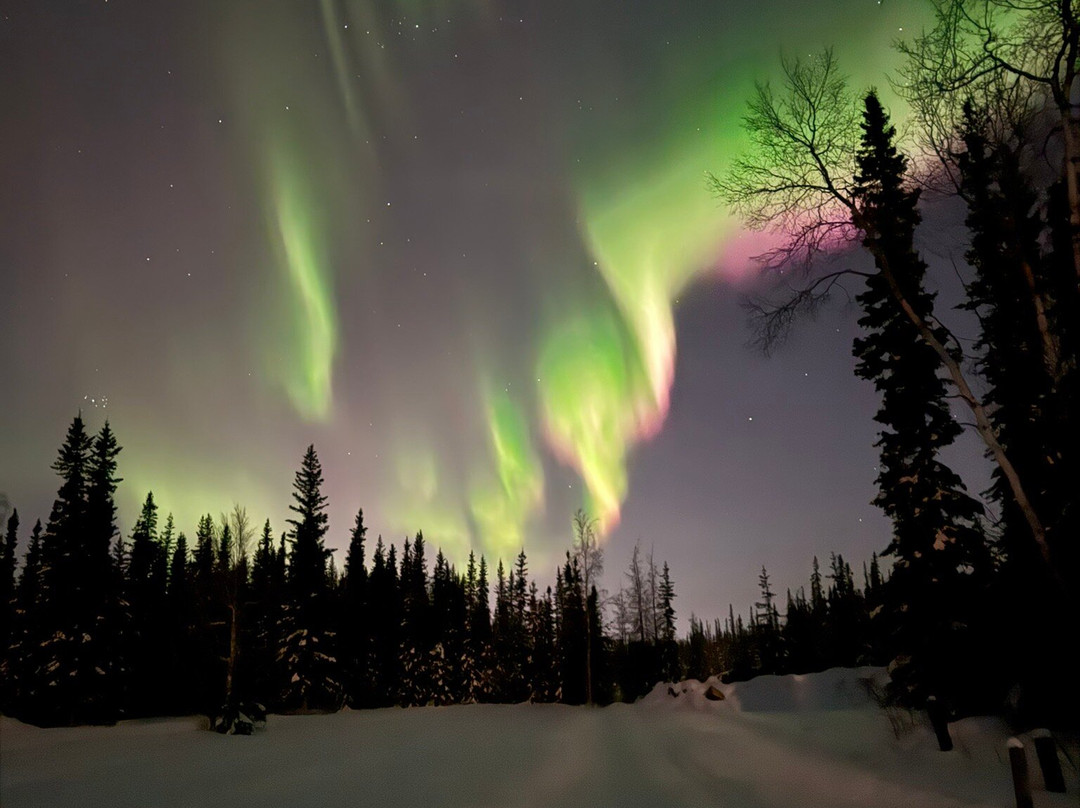 Alaska Aurora Adventures-费尔班克斯必去景点