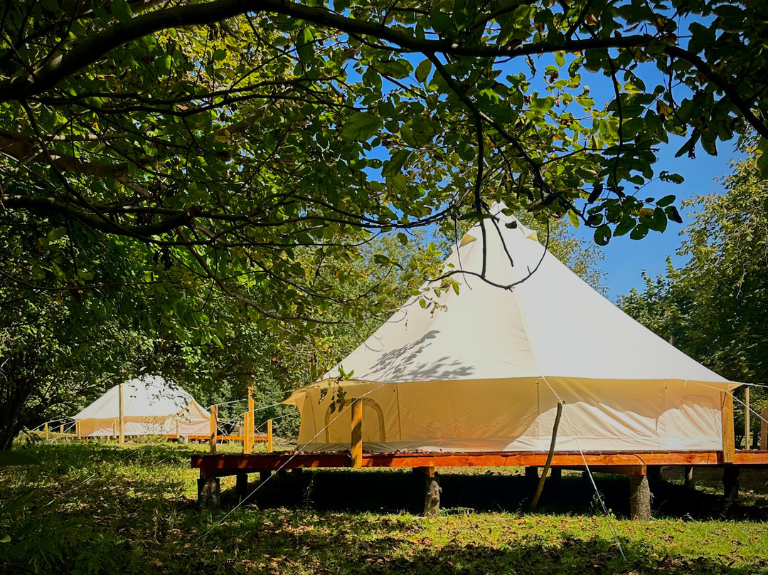 Kamp Alanı Azerbaijan