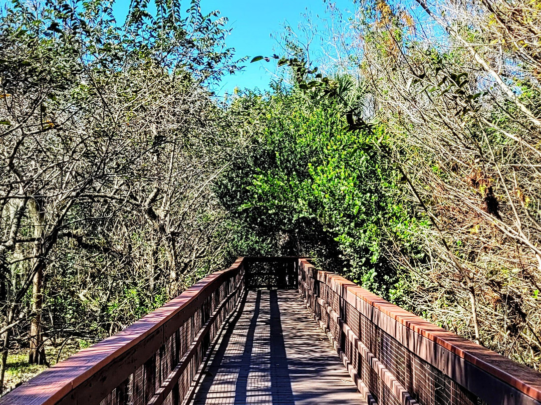 Burt Aaronson South County Regional Park-博卡拉顿必去景点
