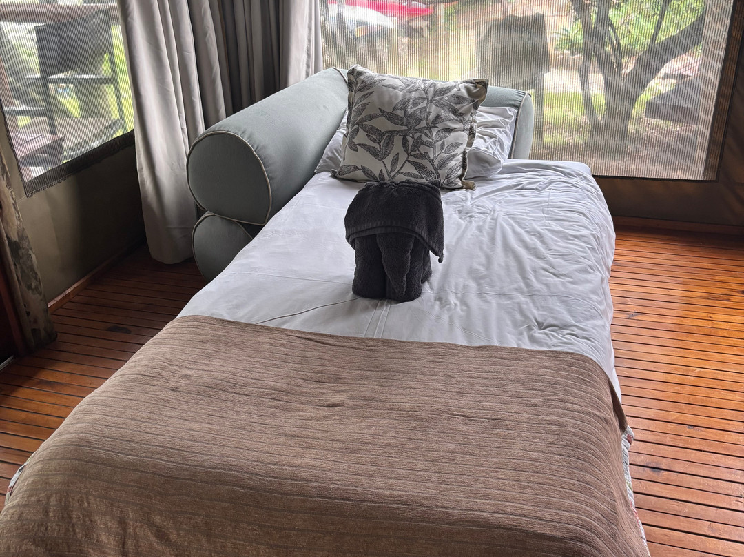 Sibuya Game Reserve - Private Day Trips-Kenton-on-Sea必去景点