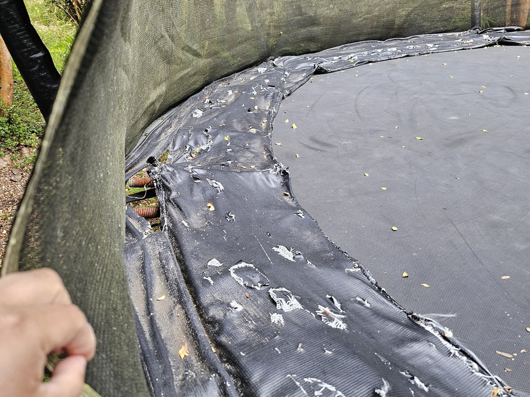 Cabanas Ensenada Bosque Nativo主图