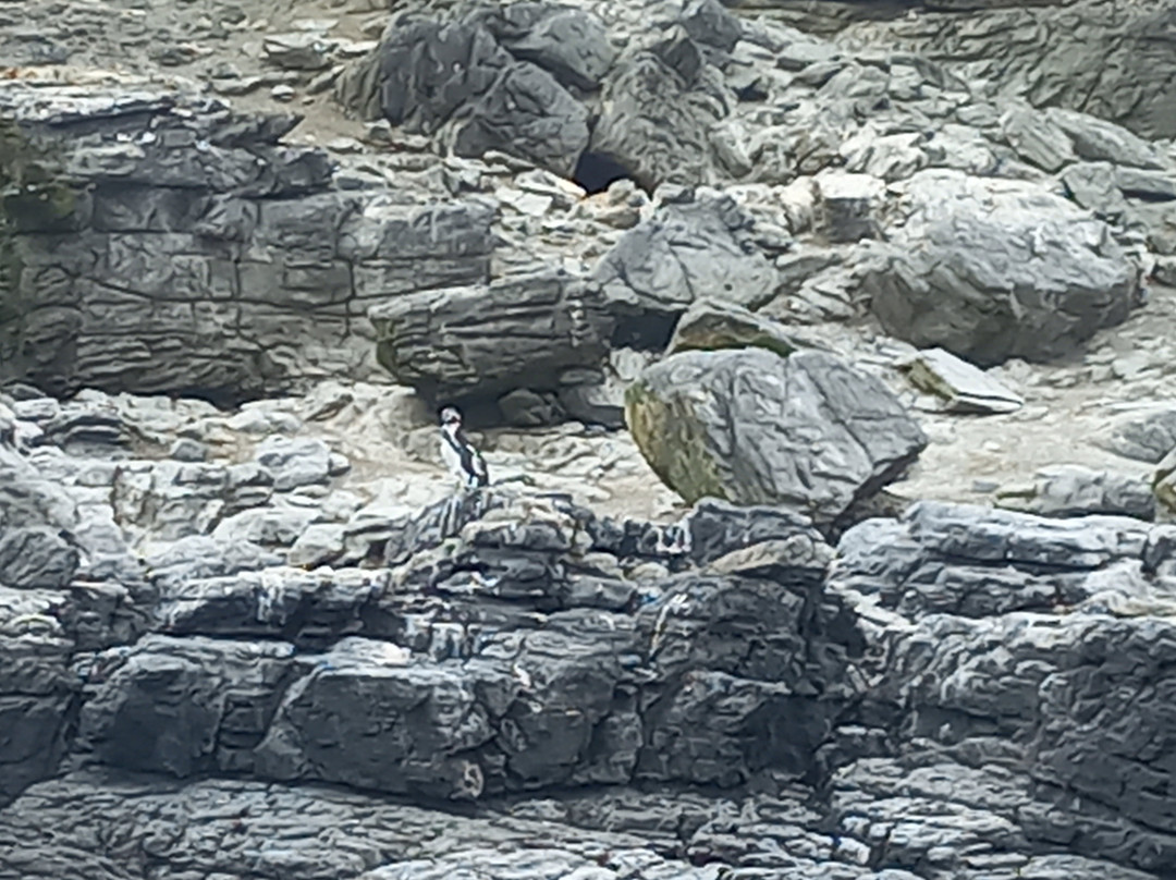 La Serena Turismo Chile-拉塞雷纳必去景点