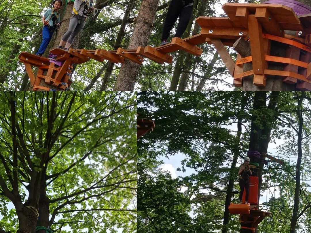 Park Linowy Kudowa-Kudowa-Zdroj必去景点