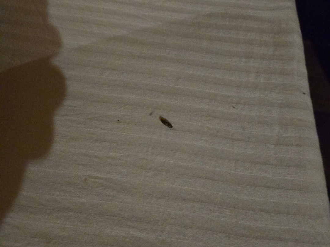 Blue Lagoon Resort主图