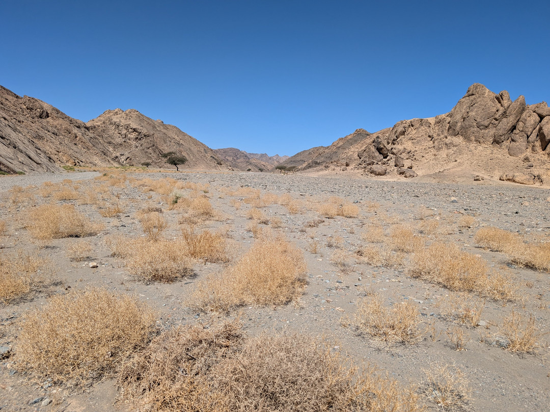 Wadi El Gemal National Park-马萨阿拉姆必去景点