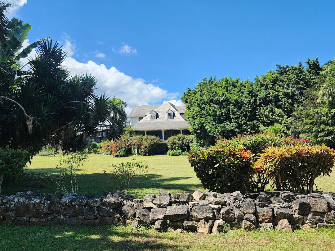 Hampden Estate-法尔茅斯必去景点