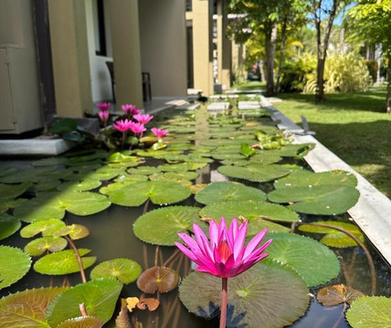 Ovi Travel Guides, Sri Lanka-卡卢特勒必去景点