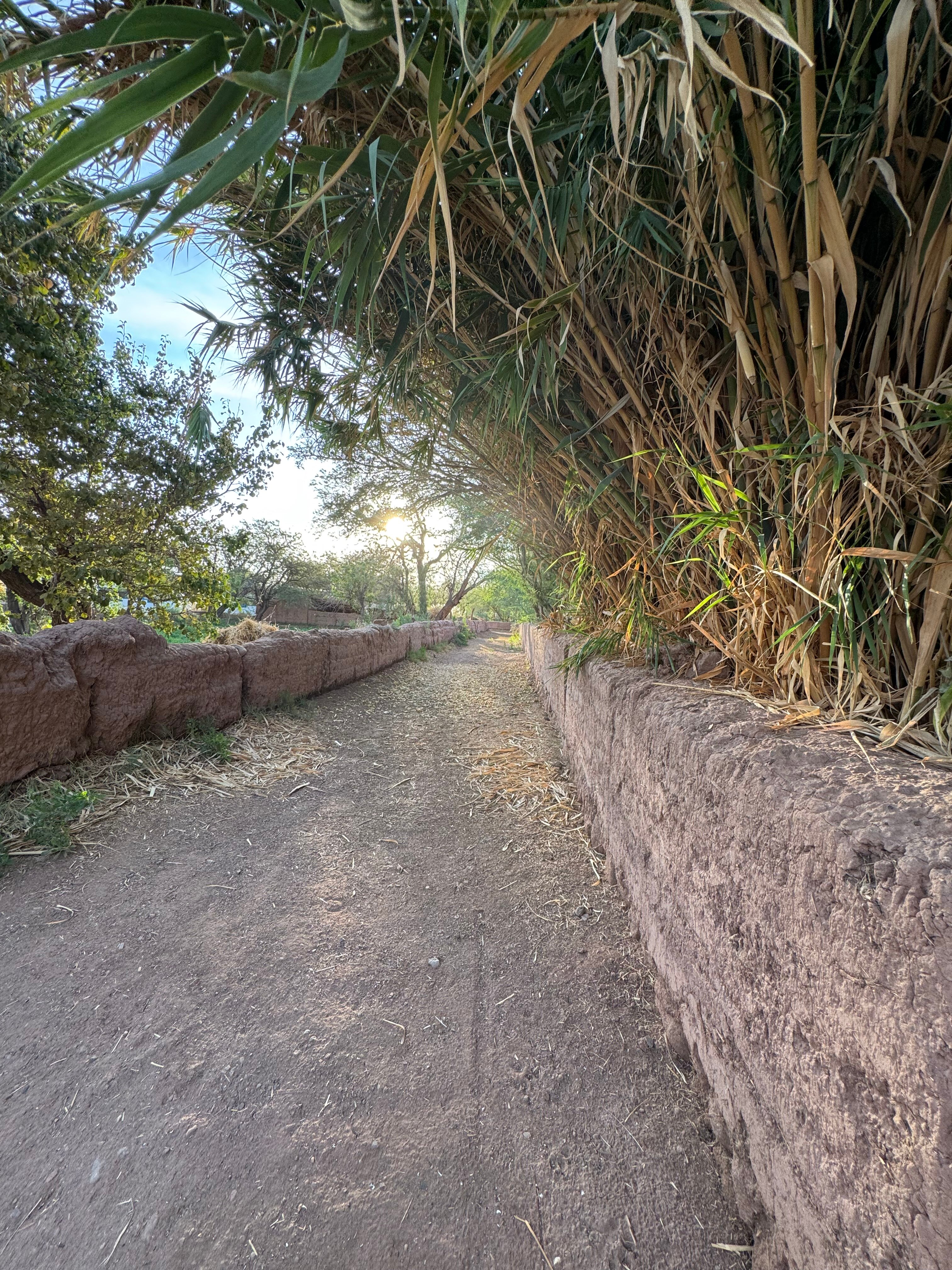 Explora en Atacama-浴室