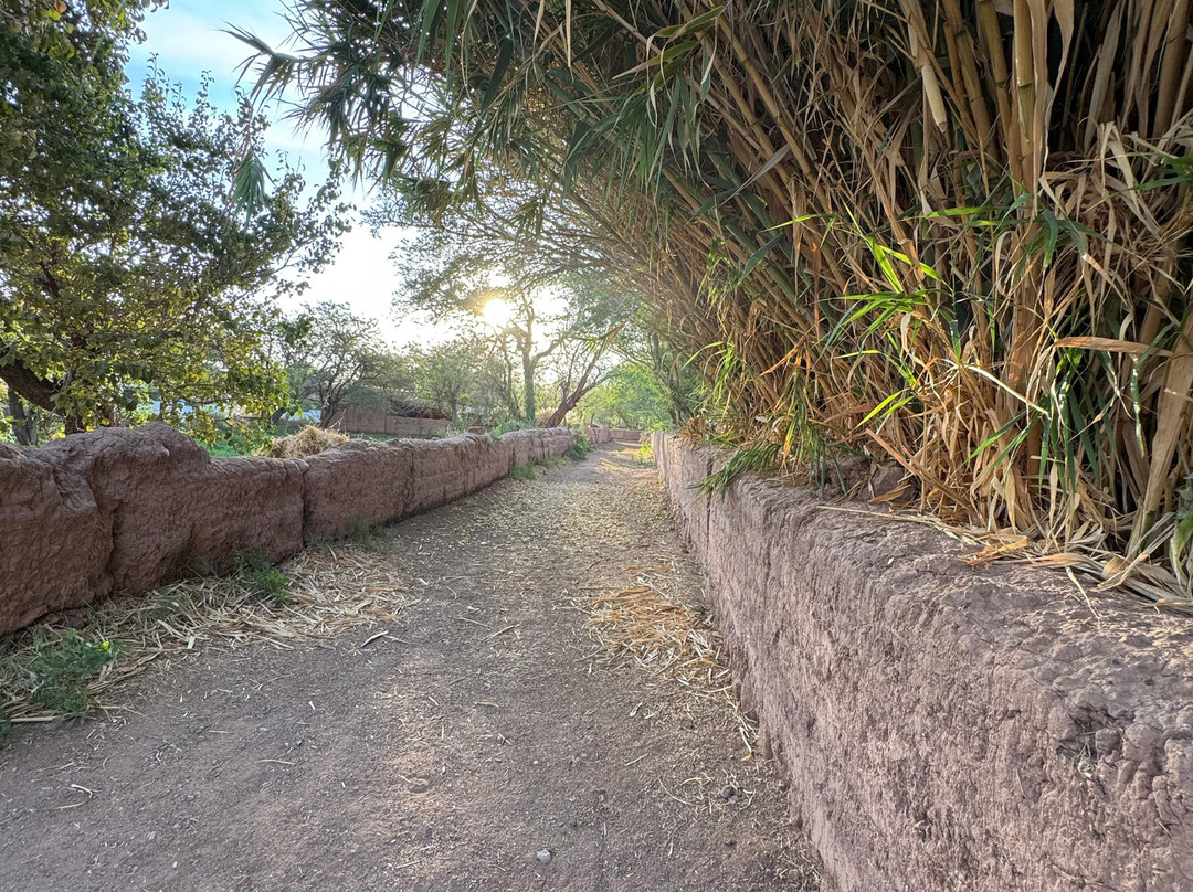 Explora en Atacama主图