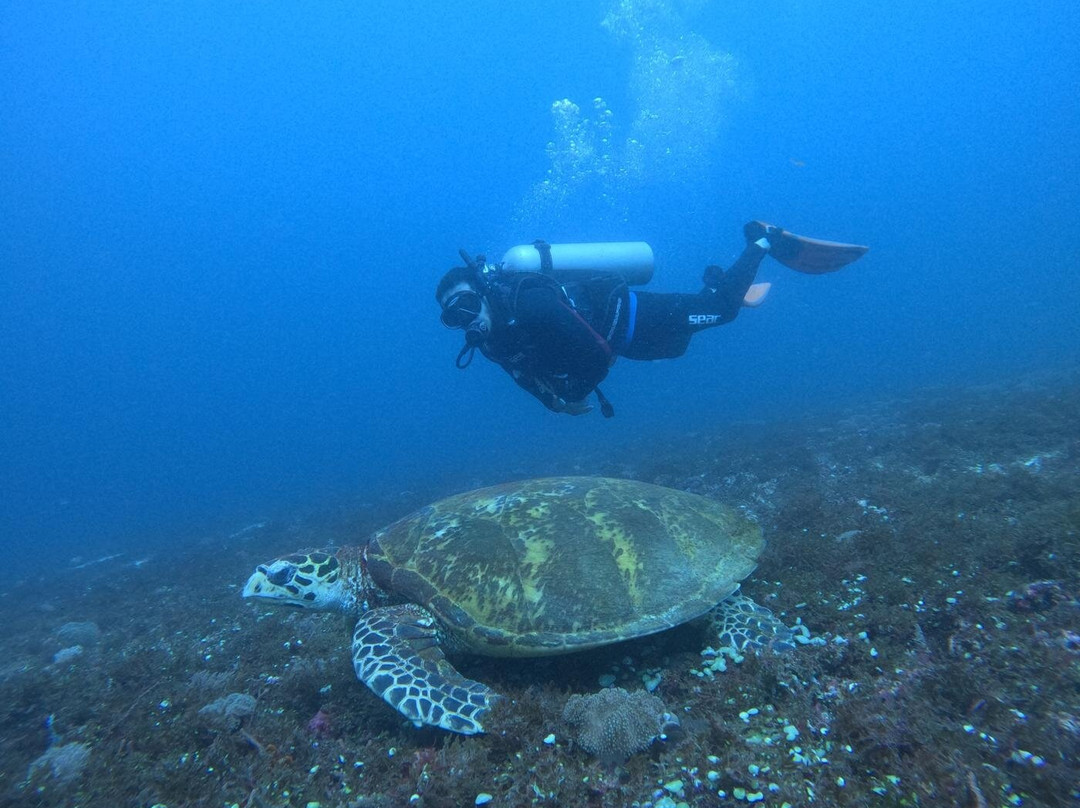 Aqualife Divers Academy-长滩岛必去景点