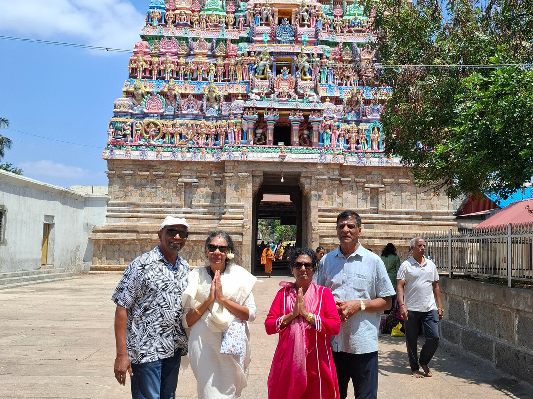 South India Tours and Travels景点图片