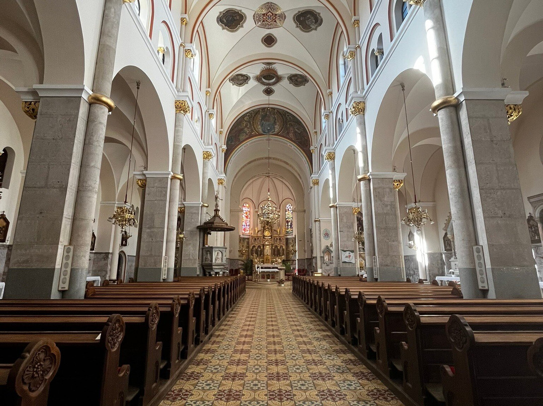 Franciscan Church-马里博尔必去景点