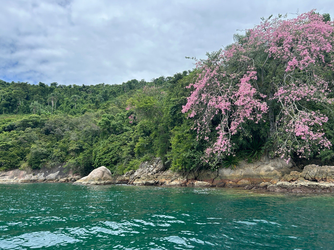 Passeios Paraty.RJ景点图片