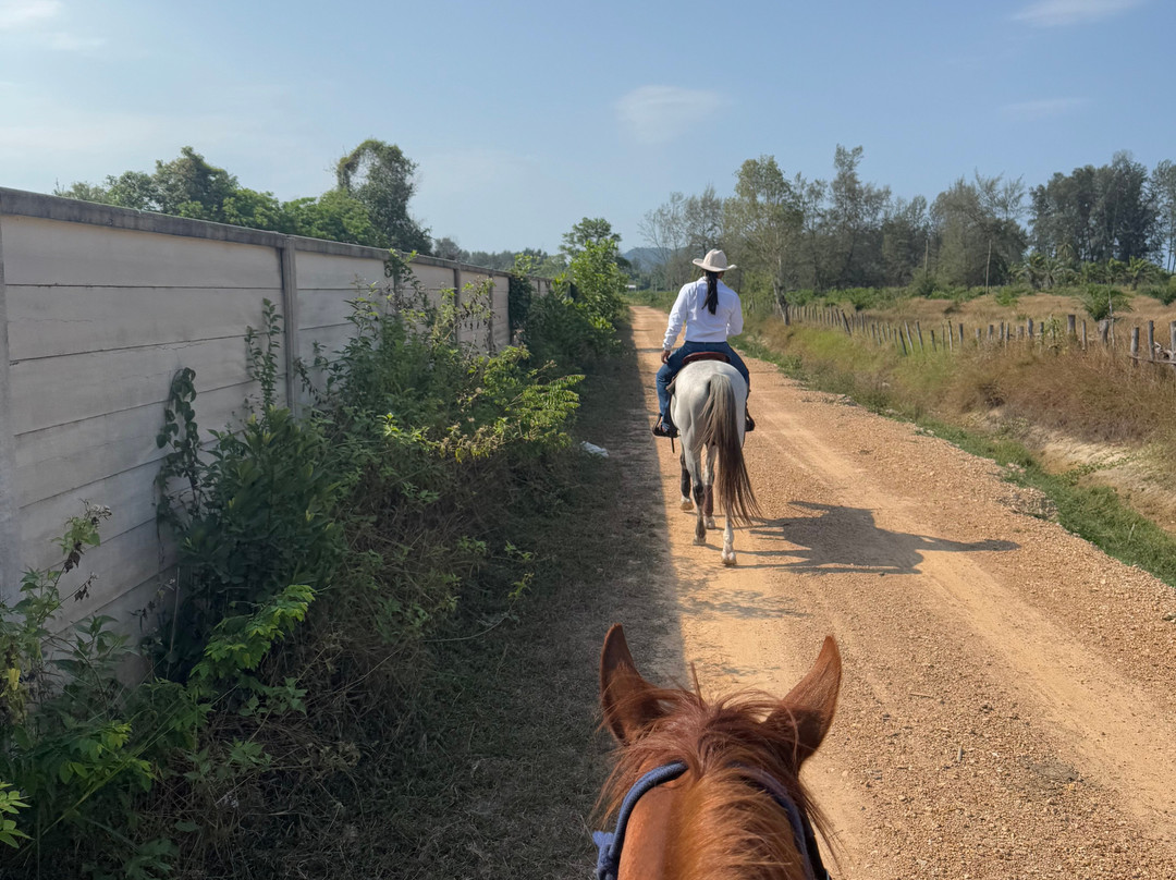 Pirates Bar Horse riding-兰塔岛必去景点