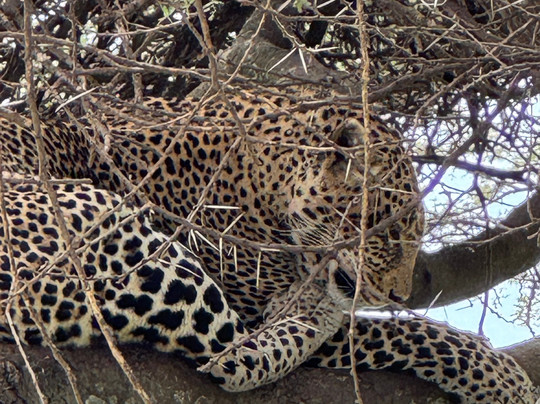 Mawe African Ventures-阿鲁沙必去景点