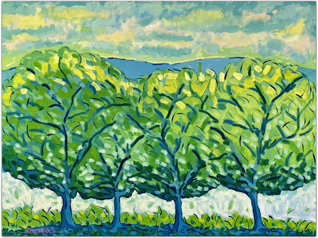 加戈施安美术馆-纽约市必去景点