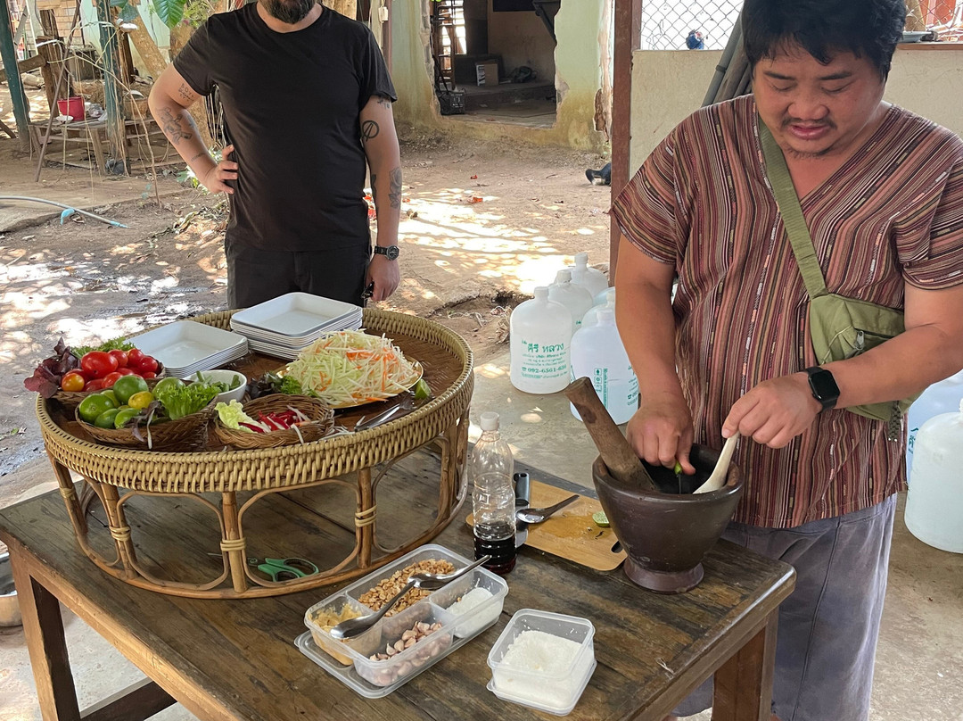 Happy Elephant Home-夜登必去景点