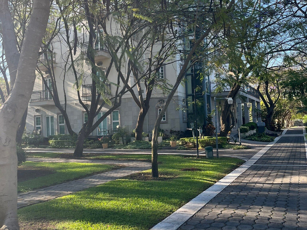 The Lorian Club主图