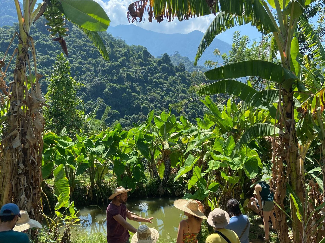 Plan B, Farm to table-Minca必去景点
