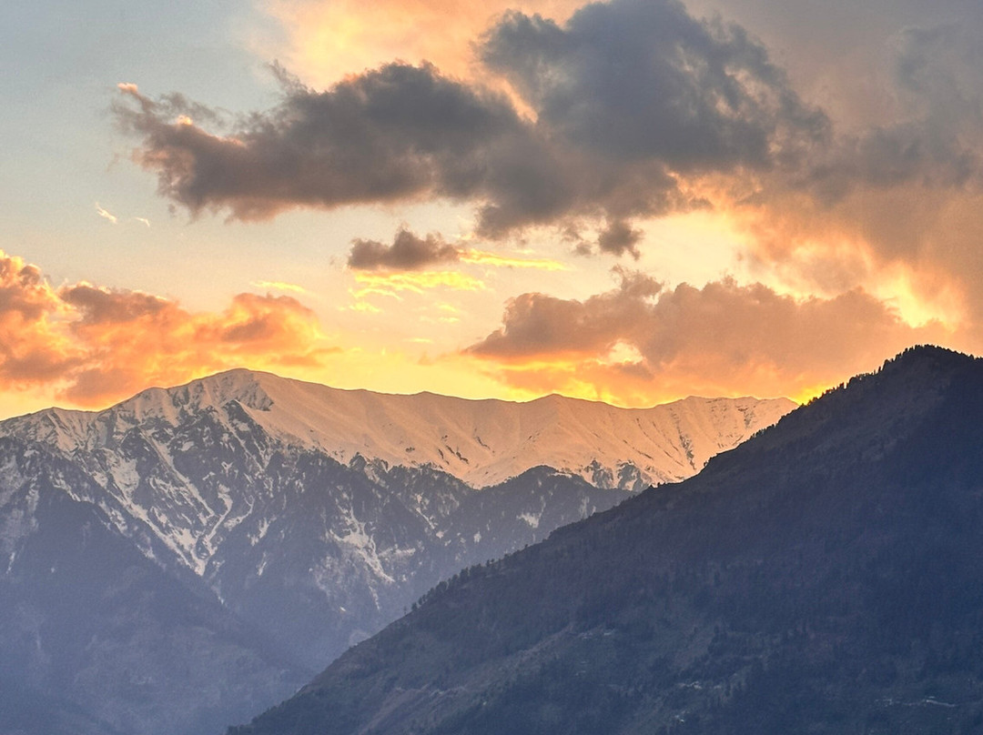 Bohodyssey Hallan主图