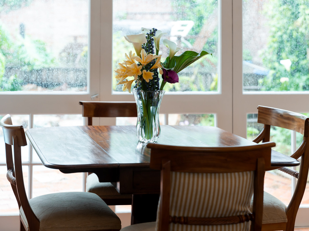 Lemon Tree Lane主图