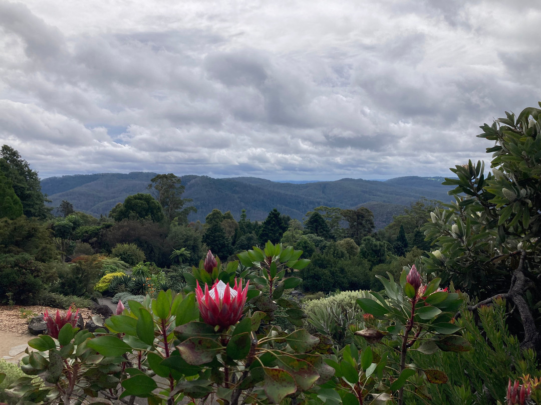 The Blue Mountains Botanic Garden景点图片