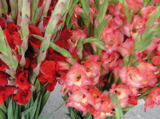 Bed & Breakfast Puebla La Paz主图