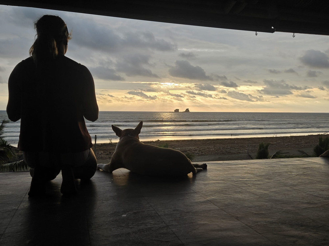 La Casa Hostel主图