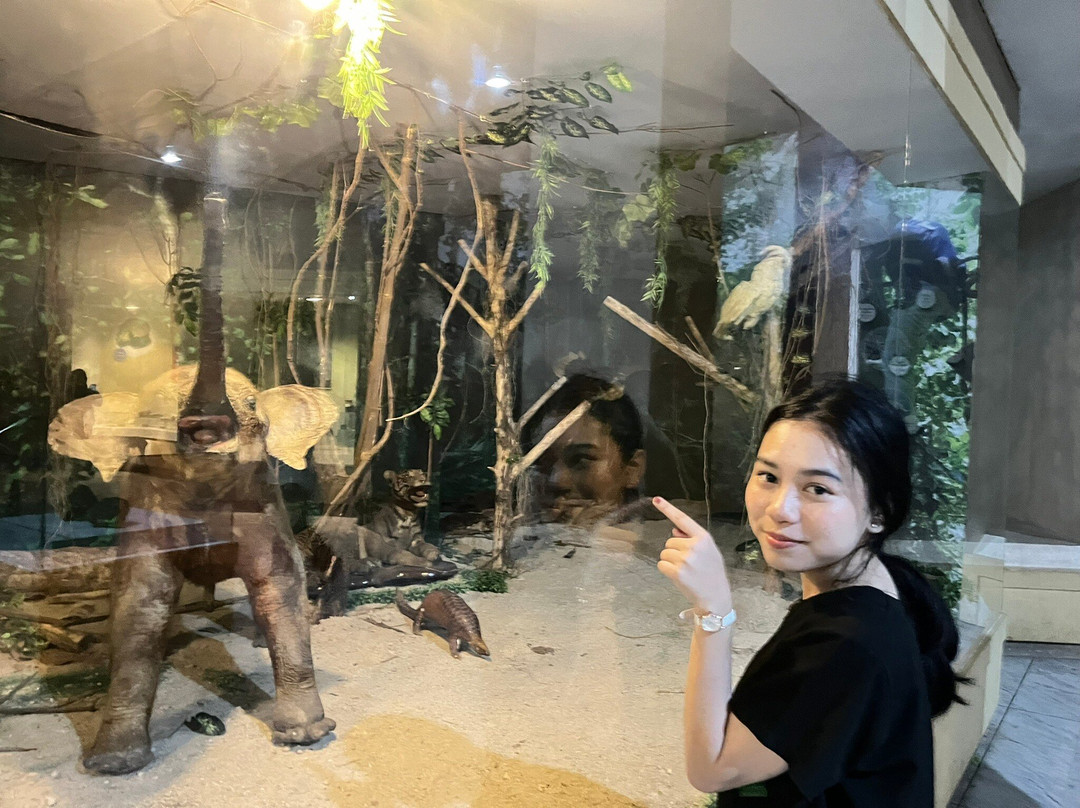 Museum Lampung Ruwa Jurai-班达楠榜必去景点