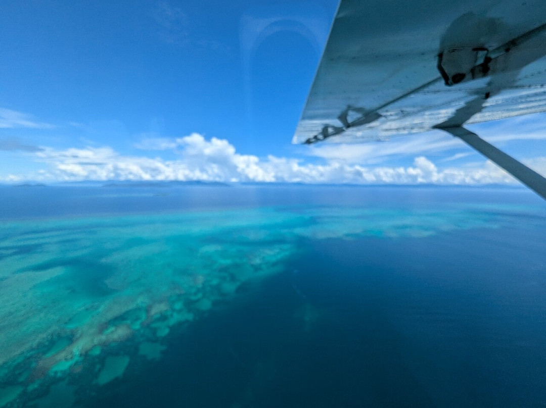 Daintree Air Services景点图片