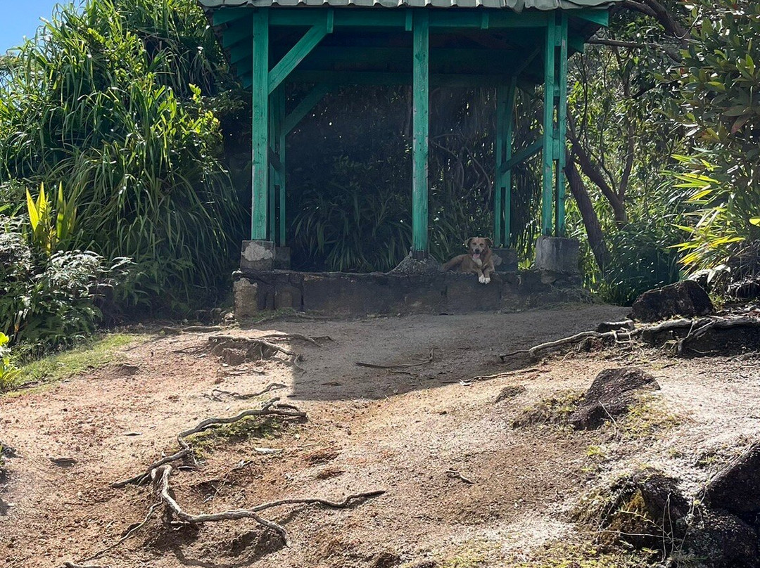 Dans Gallas Trail景点图片
