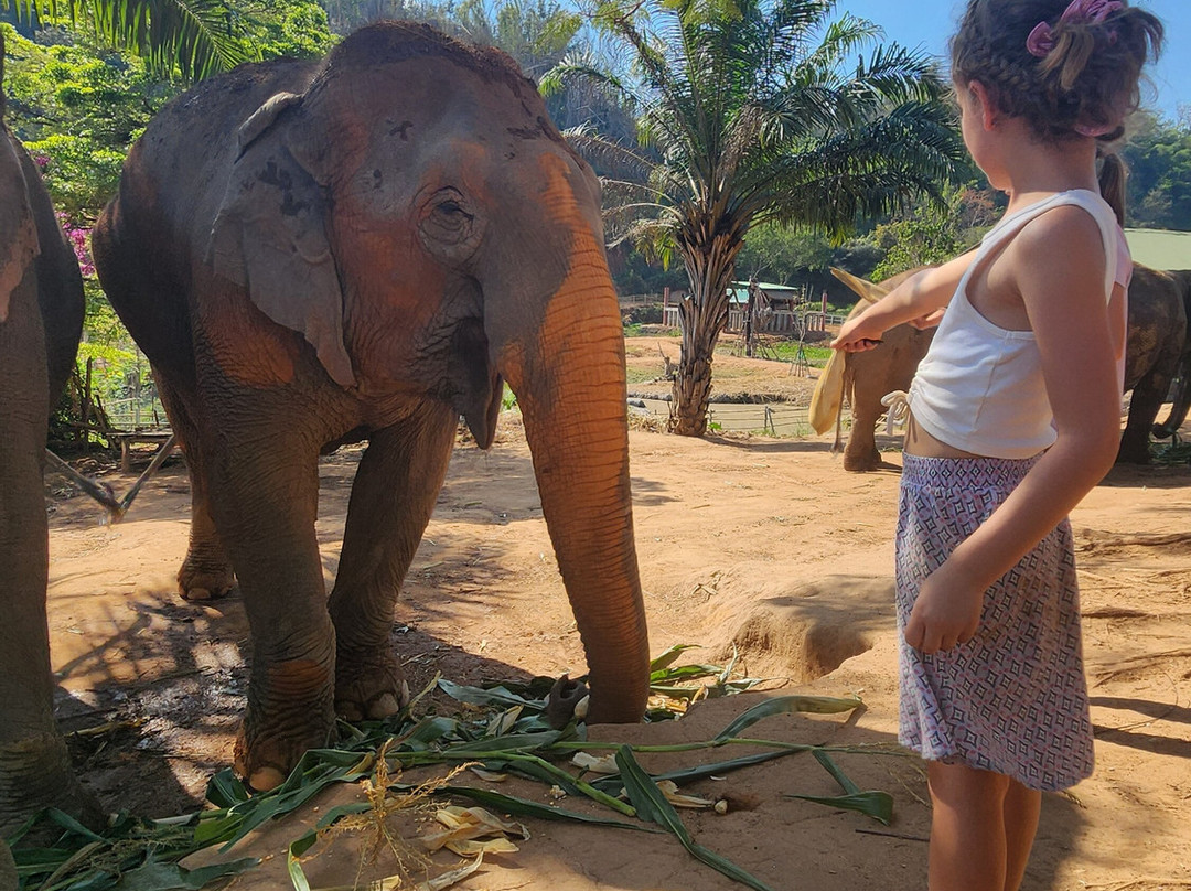 Elephant Steps Chiang Rai-清莱必去景点